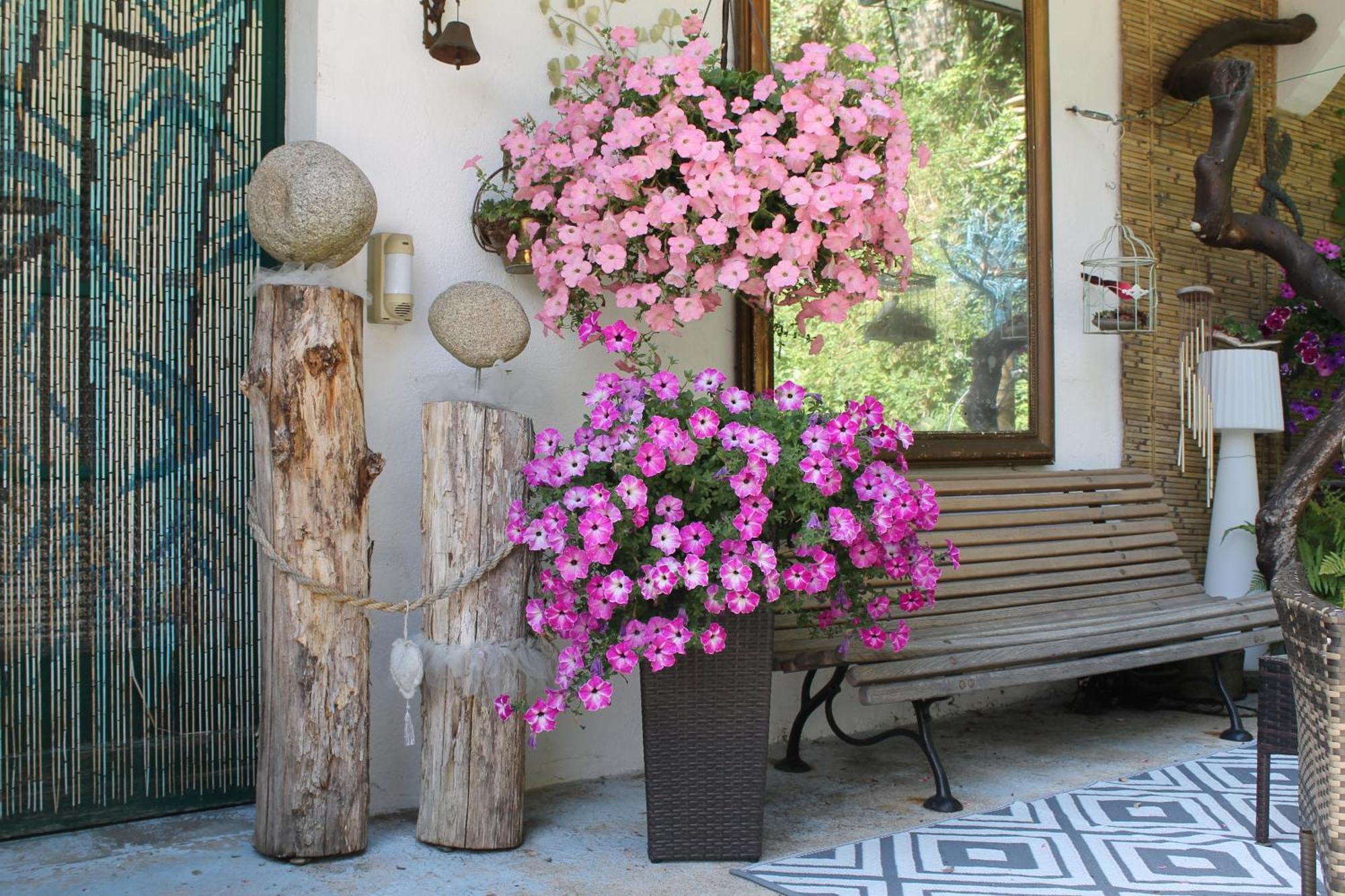 Studio Malou, Cuisine, Salle D'Eau, Terrasse Amenagee Olliergues Exterior photo